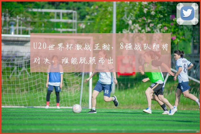 U20世界杯激战正酣，8强战队即将对决，谁能脱颖而出
