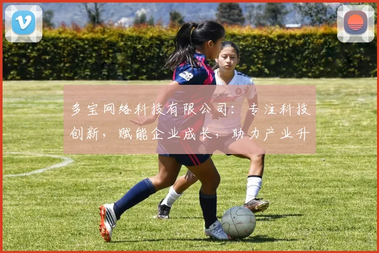 多宝网络科技有限公司：专注科技创新，赋能企业成长，助力产业升级，成就卓越未来