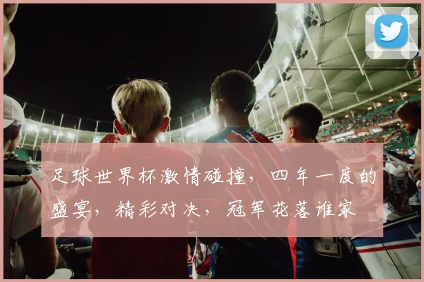 足球世界杯激情碰撞，四年一度的盛宴，精彩对决，冠军花落谁家
