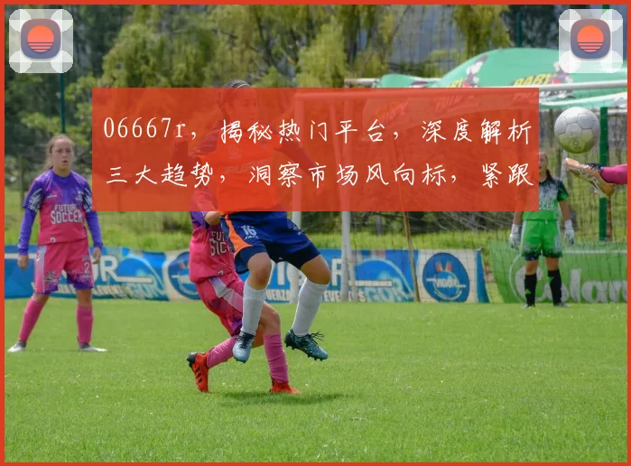 06667r，揭秘热门平台，深度解析三大趋势，洞察市场风向标，紧跟时代潮流