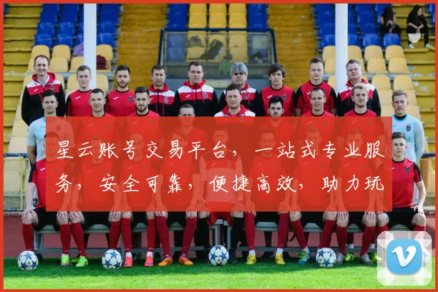 星云账号交易平台，一站式专业服务，安全可靠，便捷高效，助力玩家交易